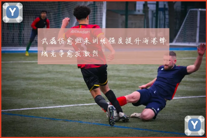 武磊伤愈归来训练强度提升海港锋线竞争愈发激烈