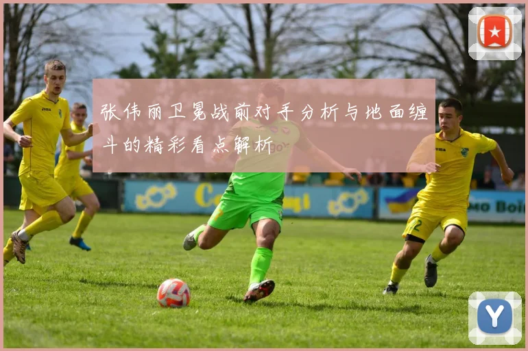 张伟丽卫冕战前对手分析与地面缠斗的精彩看点解析
